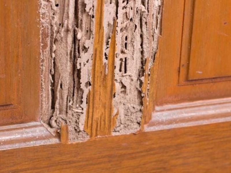 Sửa chữa cửa gỗ tại Hà Đông